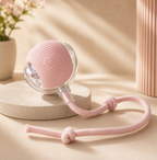PawVique SmartChase™ - Interactive Pet Toy
