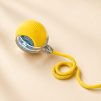 PawVique SmartChase™ - Interactive Pet Toy