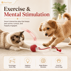 PawVique SmartChase™ - Interactive Pet Toy